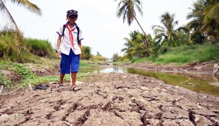 ĐBSCL thuộc 5 đồng bằng &#039;dễ bị tổn thương nhất thế giới&#039;