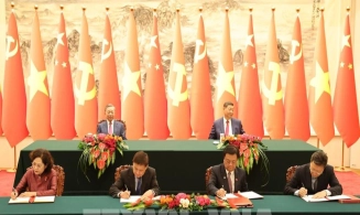 Sầu riêng đông lạnh, dừa tươi và cá sấu có "visa" chính ngạch vào Trung Quốc