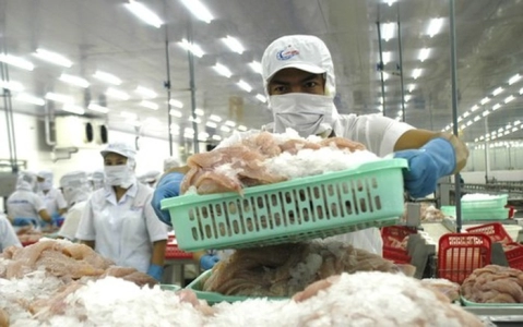 EU, Nhật Bản, Hàn Quốc sắp sang Việt Nam thanh tra về thủy sản