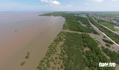 Thái Bình giữ nguyên diện tích Khu bảo tồn thiên nhiên đất ngập nước Tiền Hải