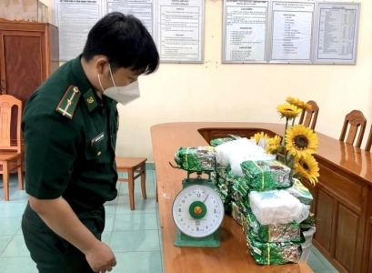 Nhiều người nước ngoài thuê nhà trồng cần sa trái phép tại Bình Thuận