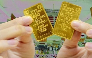Vì sao vàng miếng một chữ bị 'chê', SJC ngừng thu mua?