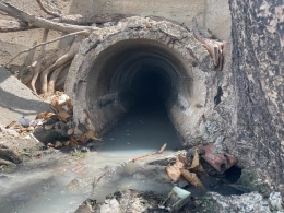 Vụ cống xả nước thải ra biển Bãi Trước: Lãnh đạo tỉnh Bà Rịa- Vũng Tàu chỉ đạo xử lý