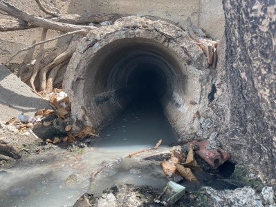 Vụ cống xả nước thải ra biển Bãi Trước: Lãnh đạo tỉnh Bà Rịa- Vũng Tàu chỉ đạo xử lý