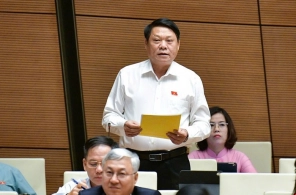 Đại biểu Quốc hội: Chật vật làm thủ tục, nhà đầu tư than 'đường xa nghĩ nỗi sau này mà kinh