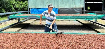 Đồng Nai: 'Xây dựng nông thôn mới' về đích sớm