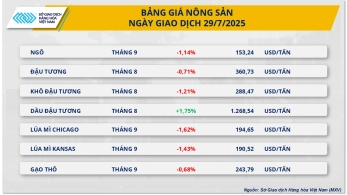 Thị trường hàng hóa thế giới tiếp tục diễn biến trái chiều