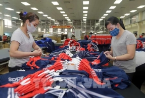 5 năm thực thi EVFTA: Giữ vững nhịp tăng trưởng hợp tác kinh tế Việt Nam và EU